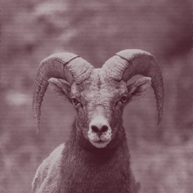 MossBeats666's profile picture