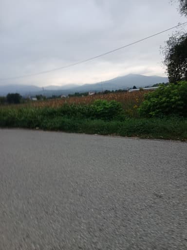 l3pva's profile picture