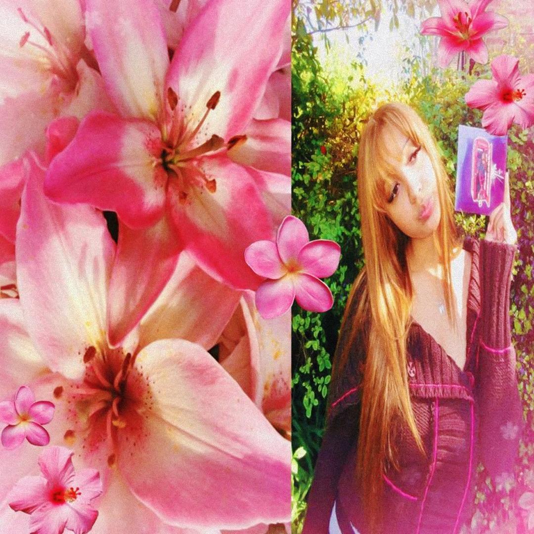 stay the night | pinkpantheress