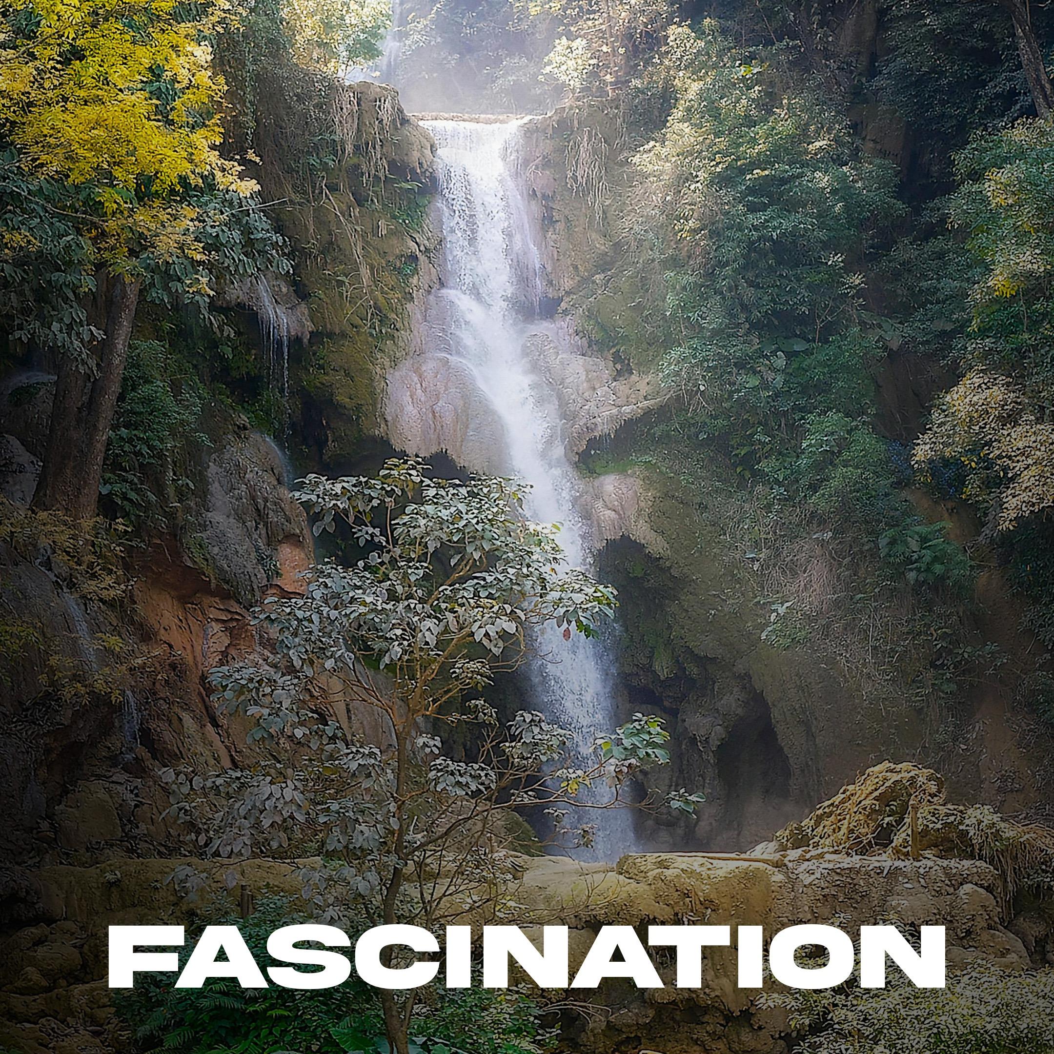Fascination