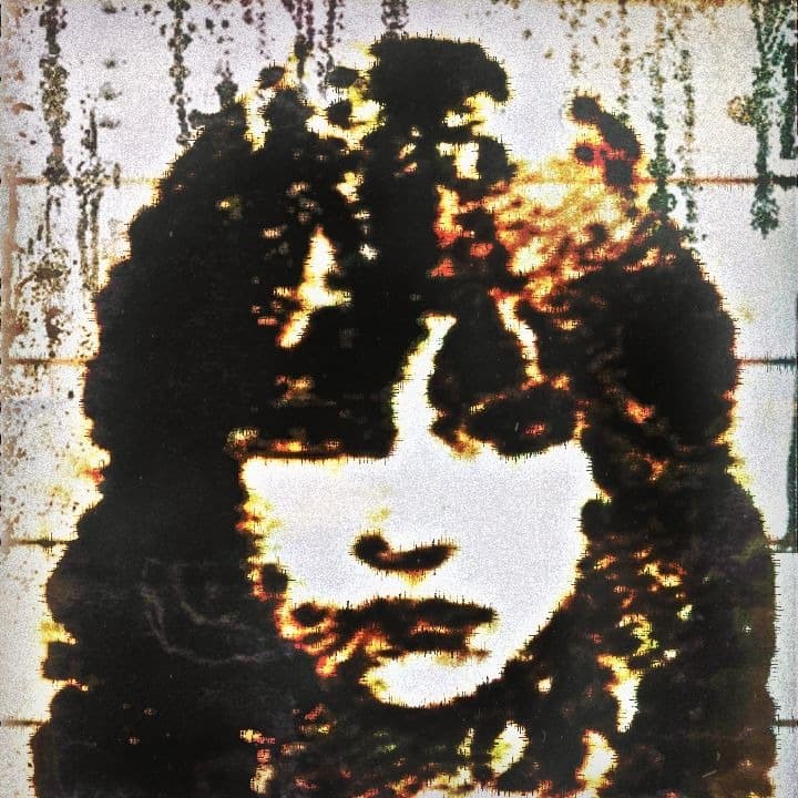 i can see your face in the moon 