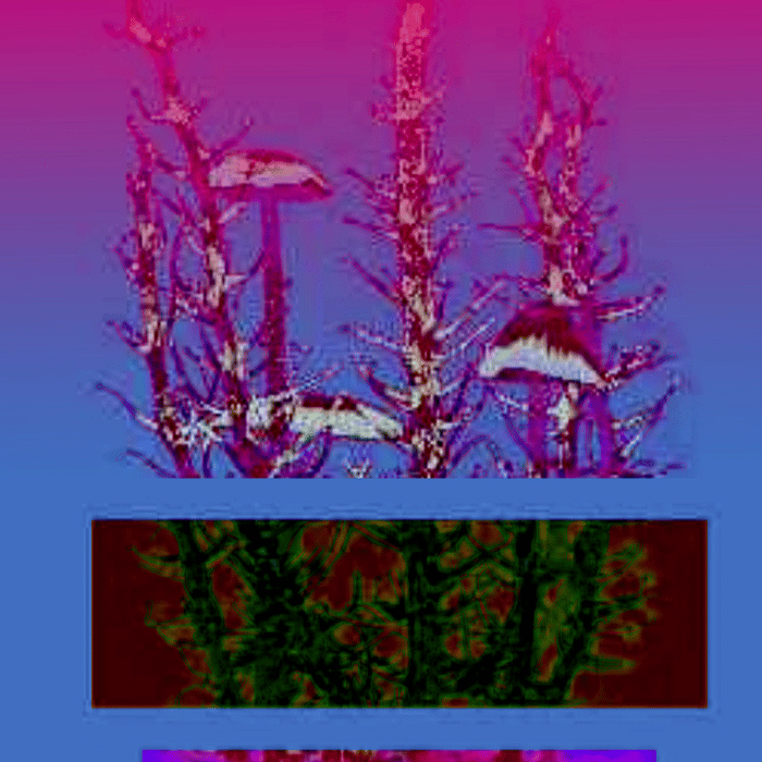 Very Hype And Tuff Fr