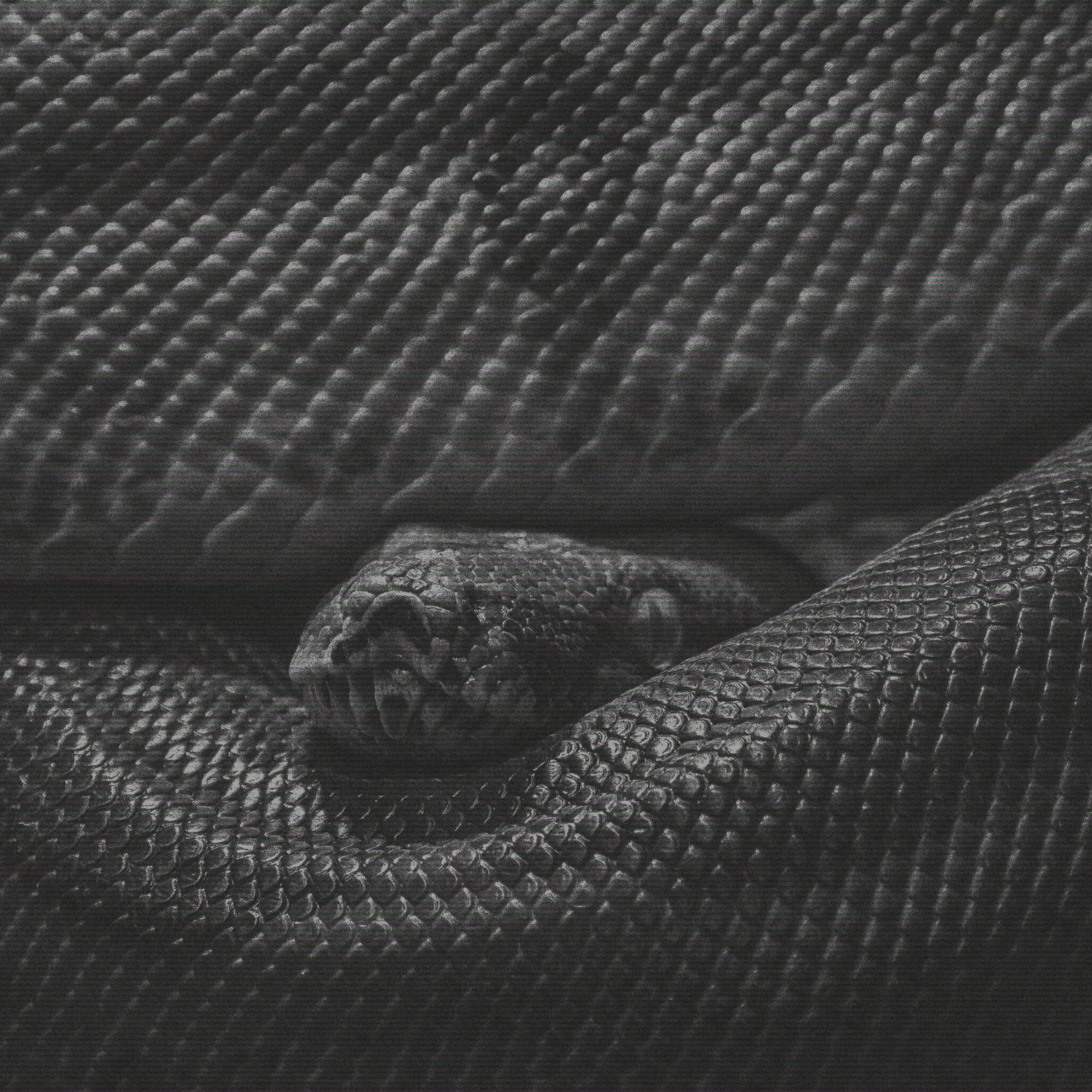 Moon & Serpent