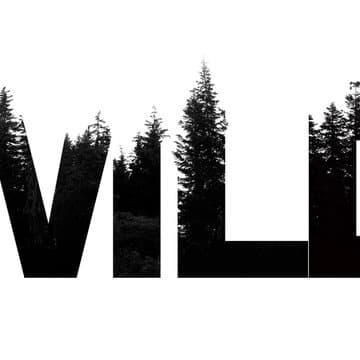 Ct Wild