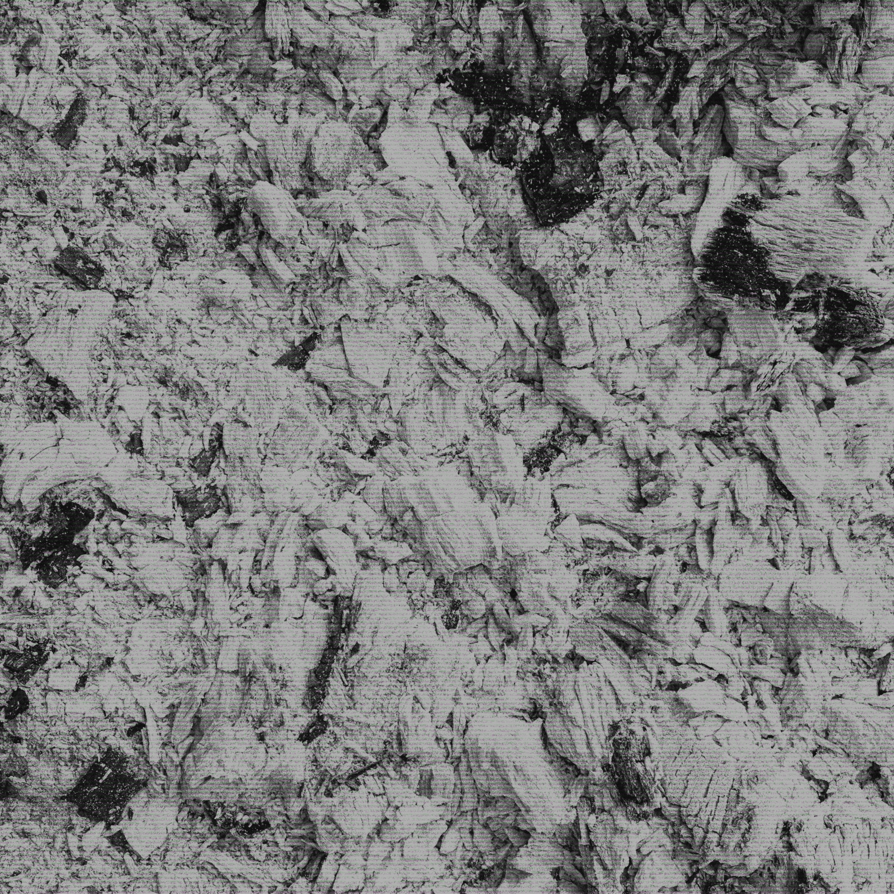 Ashes