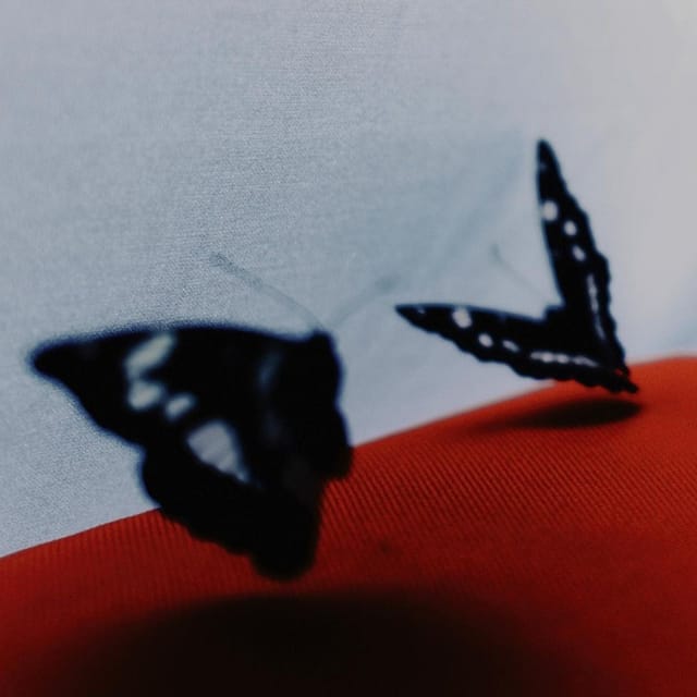 Voyage