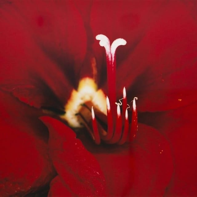 Slipping Thru Your Fingers