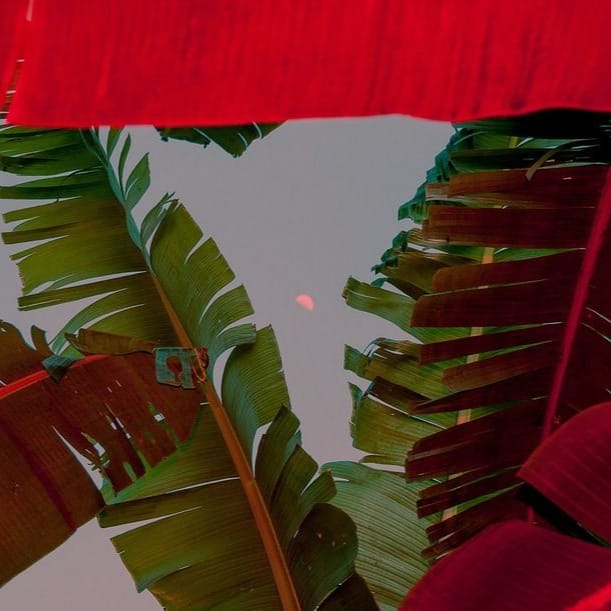 I'm Trynna Run Band Up